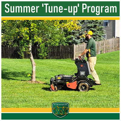 Lawn Tune-up